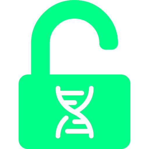 Lock Icon